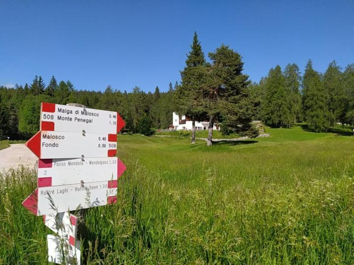 Casa Zucol Lejlighed Sarnonico Eksteriør billede